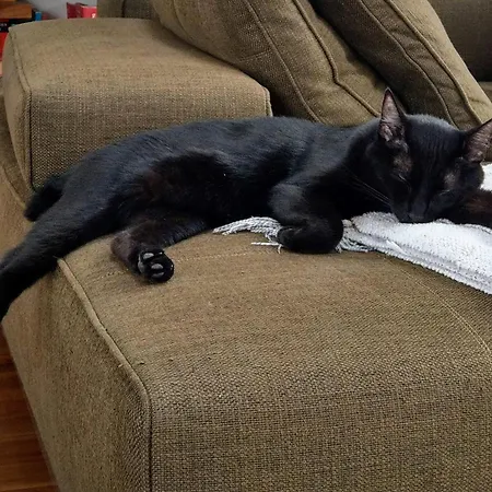 Séjour chez l'habitant 1A-Lage, Blick - 2 Gaestezimmer, Privatbad & Balkon-- Super Central, View - 2 Guestrooms, Private Bathroom & Balcony Berlin