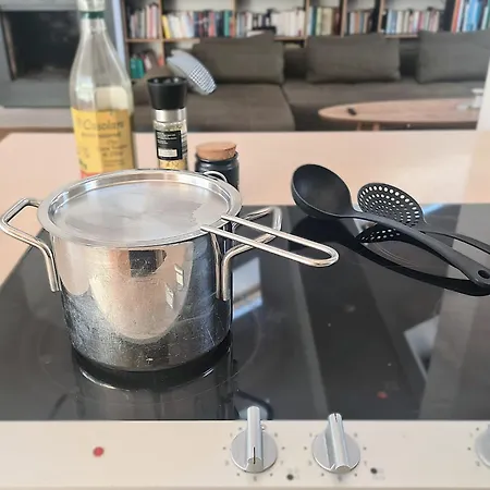 홈스테이 1A-Lage, 2 Gaestezimmer Mit Privatbad & Balkon -- Super Central, 2 Guestrooms With Private Bathroom & Balcony In Shared Loft Appartement