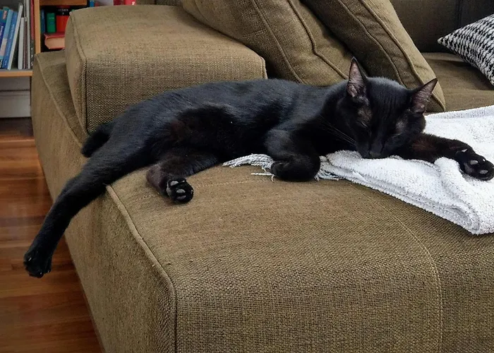 Privat bolig 1a-lage, 2 Gaestezimmer Mit Privatbad & Balkon -- Super Central, 2 Guestrooms With Private Bathroom & Balcony In Shared Loft Berlin